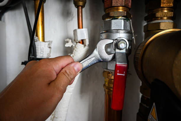 Best Local Plumber Services  in Manhattan, MT